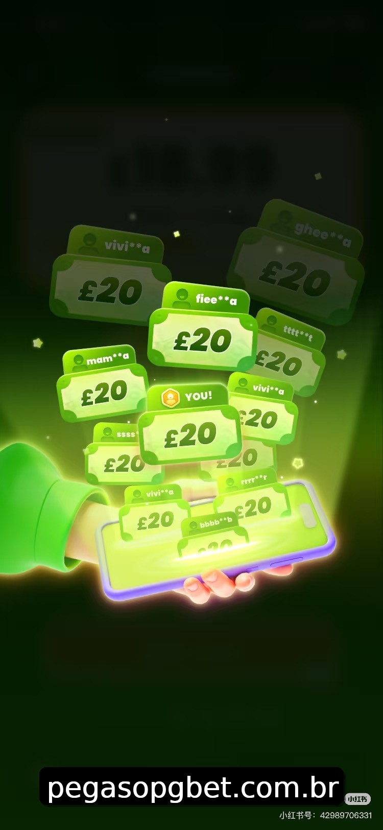 Interface do App pegasopg